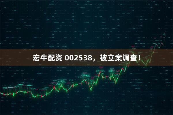 宏牛配资 002538，被立案调查！