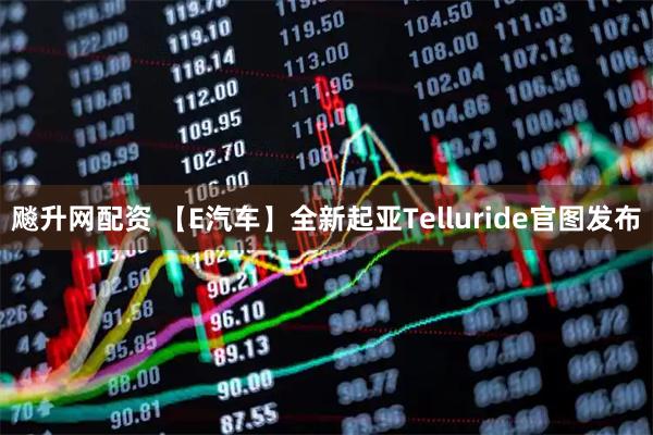 飚升网配资 【E汽车】全新起亚Telluride官图发布
