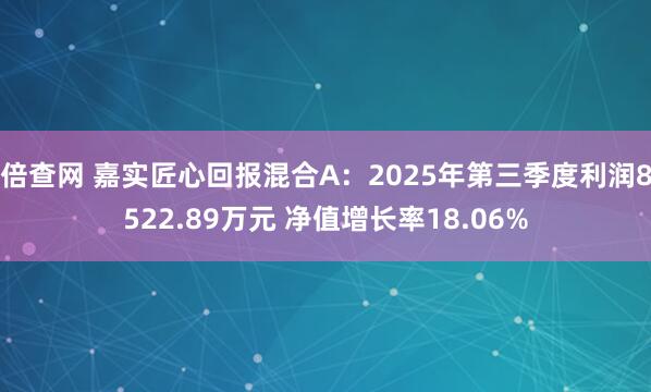 倍查网 嘉实匠心回报混合A：2025年第三季度利润8522.89万元 净值增长率18.06%